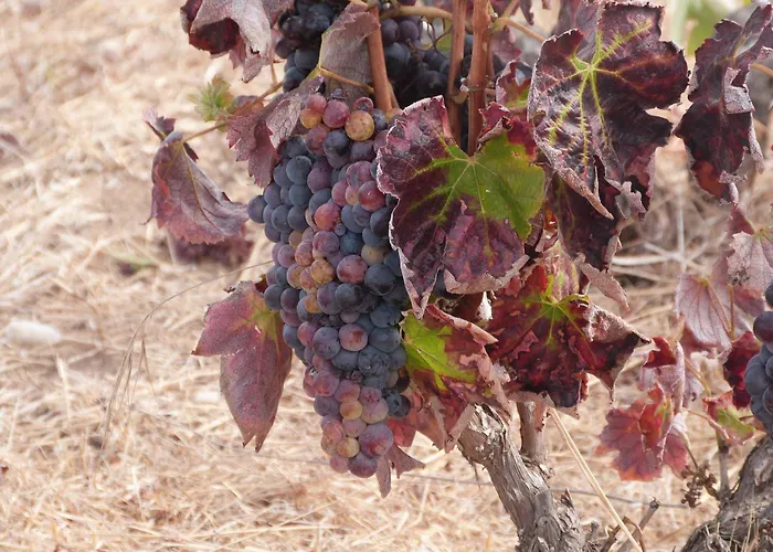 Quinta Da Eira Lagoa