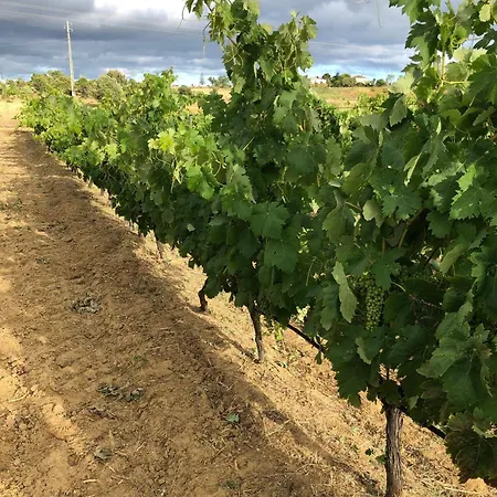 Quinta Da Eira * لاغوا