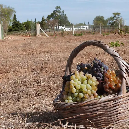 فيلة Quinta Da Eira